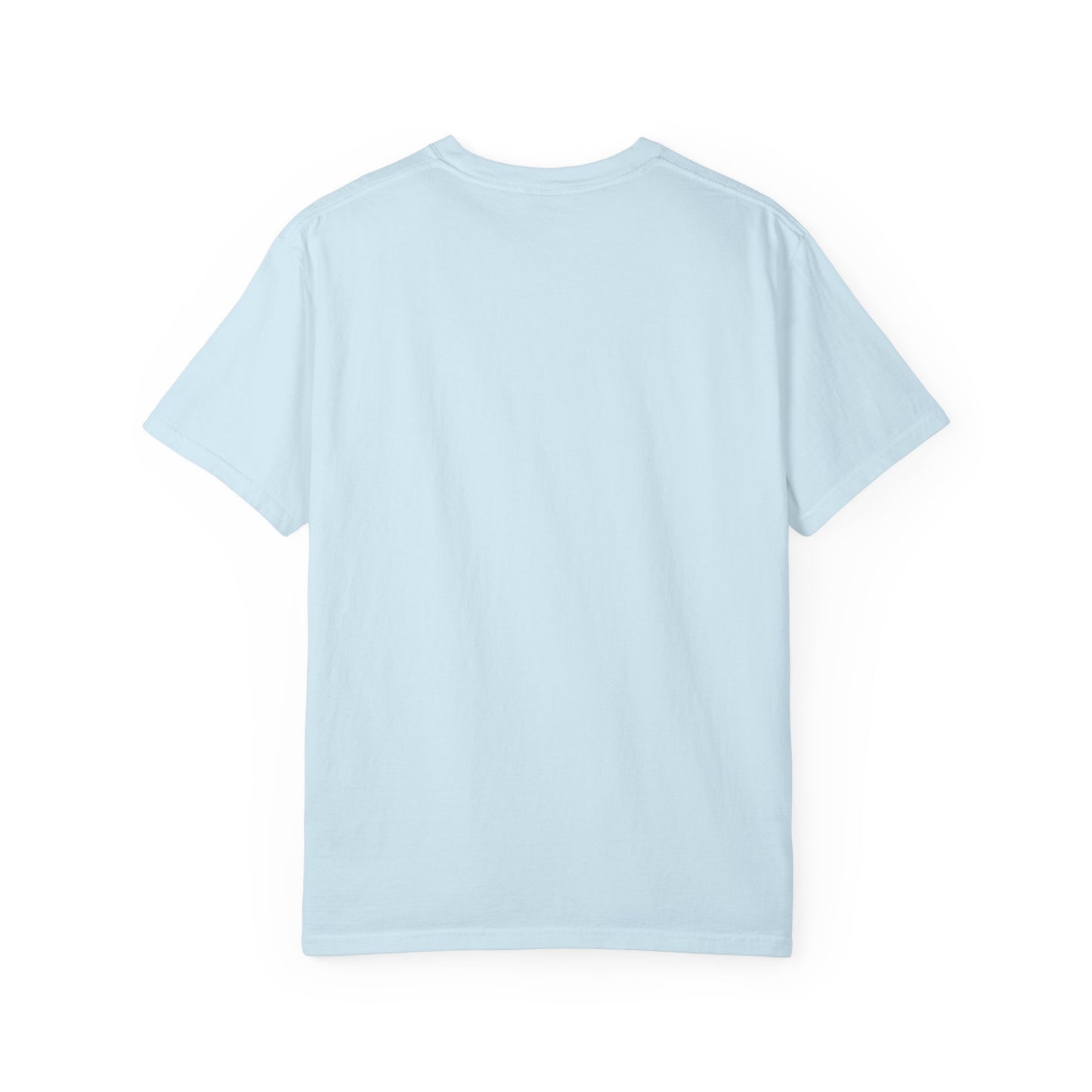 Ocean-Inspired Garment-Dyed Bird T-Shirt for Nature Lovers, Eco-Friendly Tee, Casual Wear, Gift for Bird Watchers, Summer Fashion