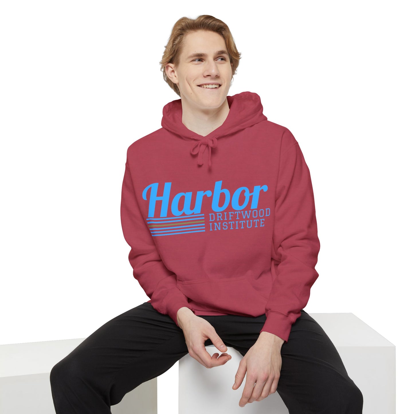 Harbor Driftwood Institute Hoodie | Cozy Unisex Sweatshirt, Casual Wear, Beach Vibes, Gift for Him/Her, Perfect for Fall & Winter