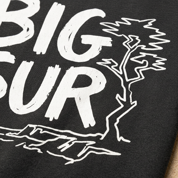 Big Sur hoodie graphic close-up