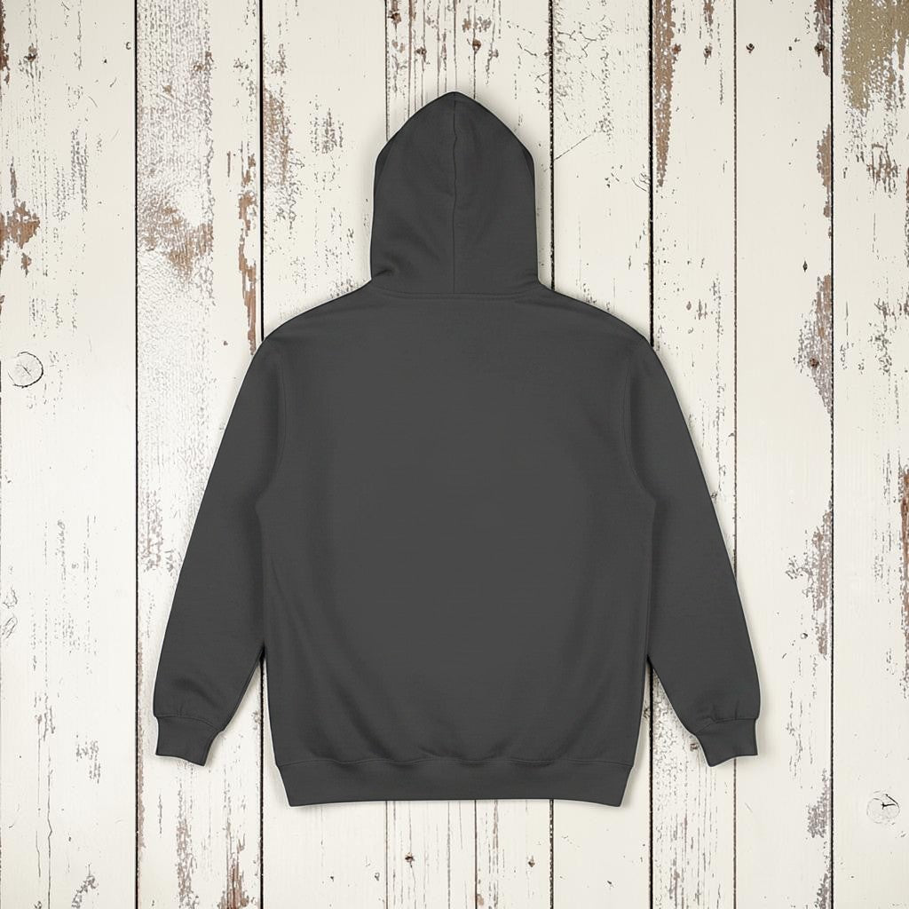 Coastal Vibes Hoodie in Pepper — plain back, warm sand studio background