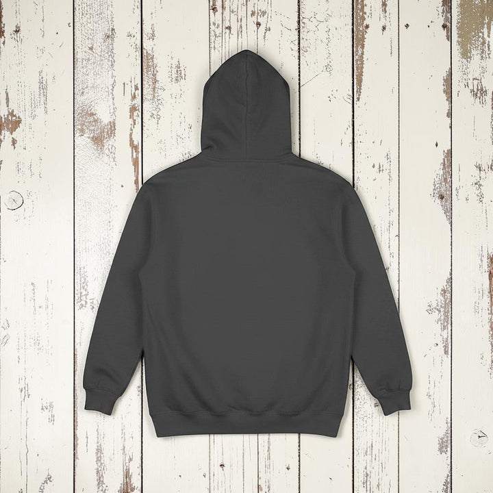 Coastal Vibes Hoodie in Pepper — plain back, warm sand studio background