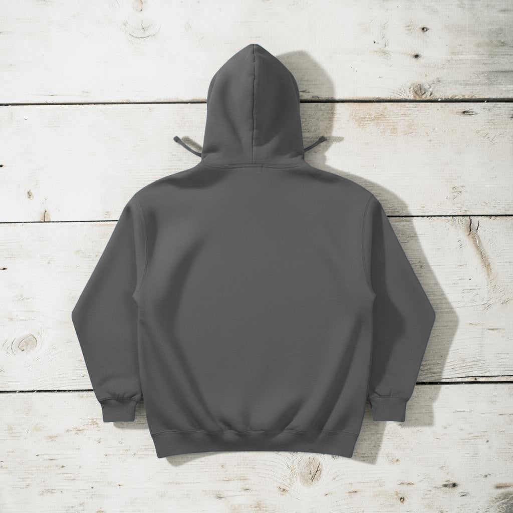 Fish Hoodie in Grey — plain back, warm sand studio background