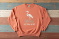 Hilton Head Coral Flat Lay